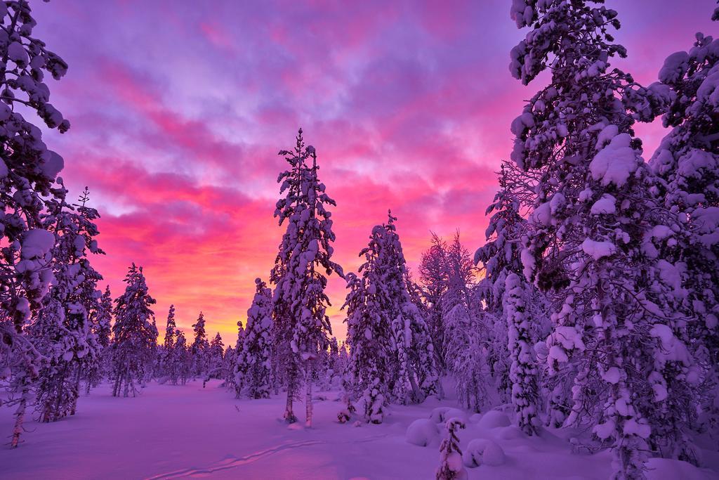 Lapland Guesthouse Kangos Buitenkant foto