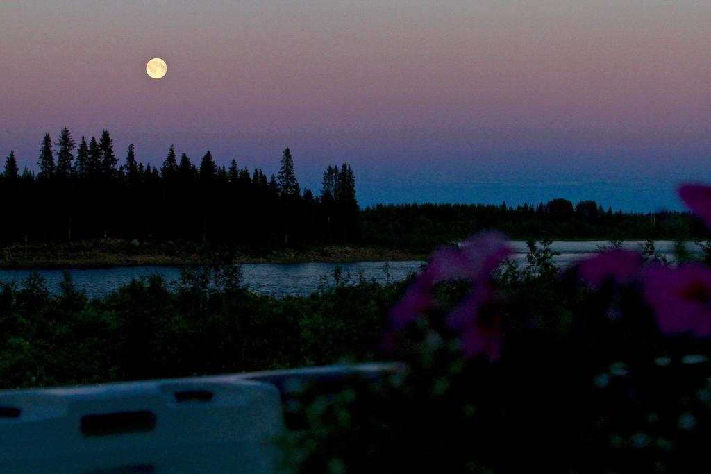 Lapland Guesthouse Kangos Buitenkant foto