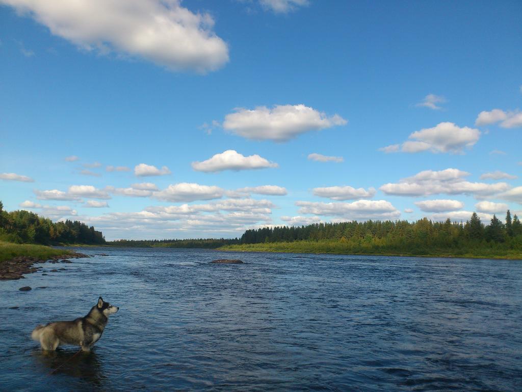 Lapland Guesthouse Kangos Buitenkant foto